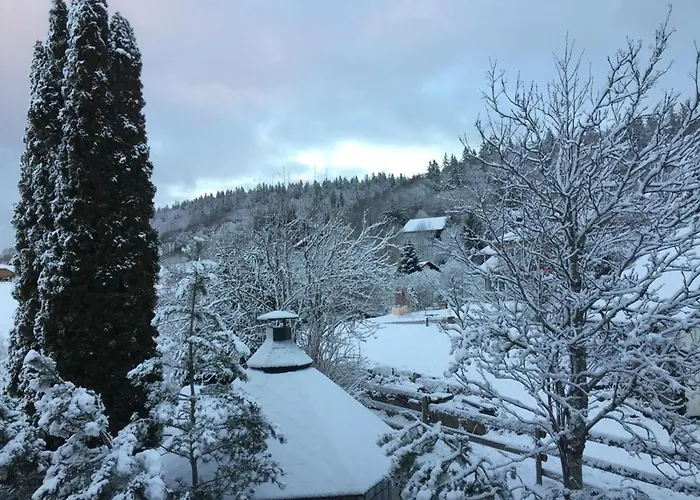 Apartment Kuckucks Hideaway Oberbach