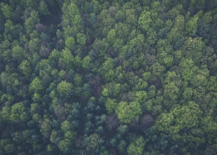 Kuckucks Hideaway * Oberbach